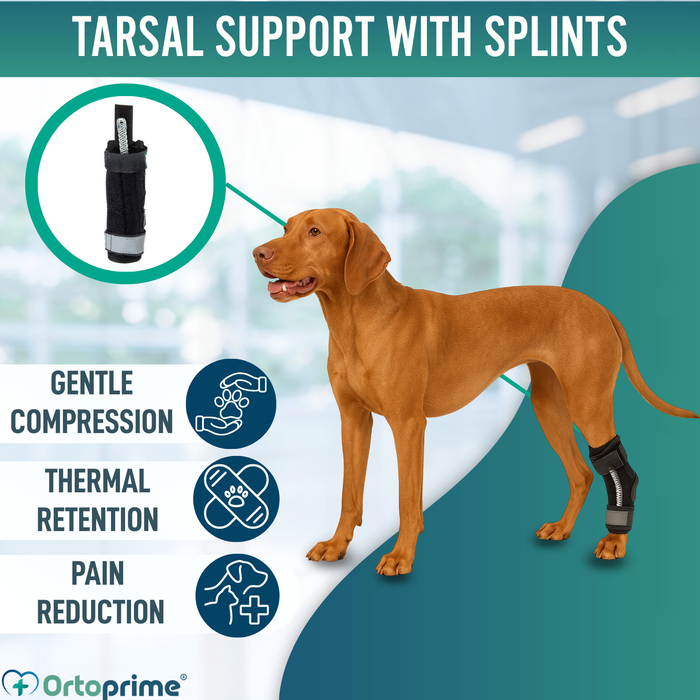 Canine Tarsal Support with Removable Splints | 2 Pack