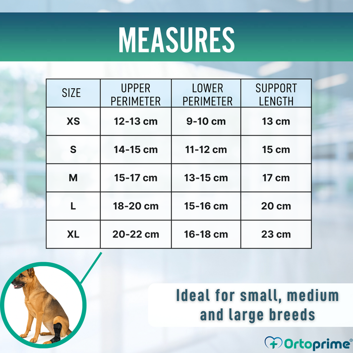 Canine Tarsal Support with Removable Splints | 2 Pack