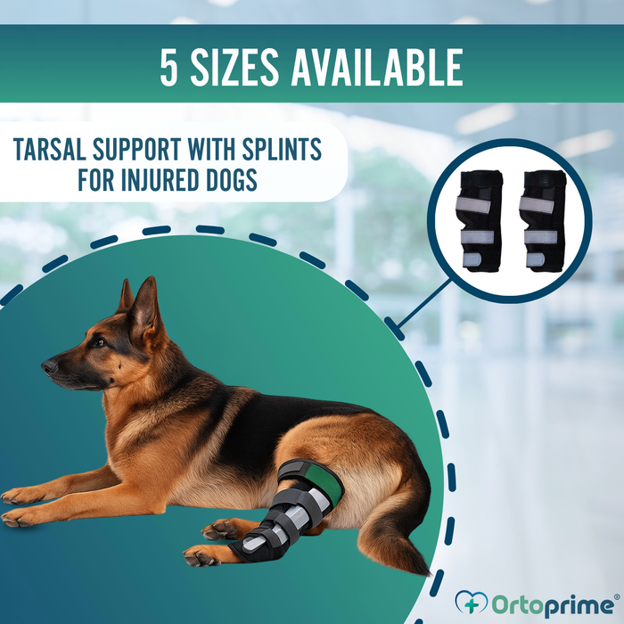 Canine Tarsal Support with Removable Splints | 2 Pack