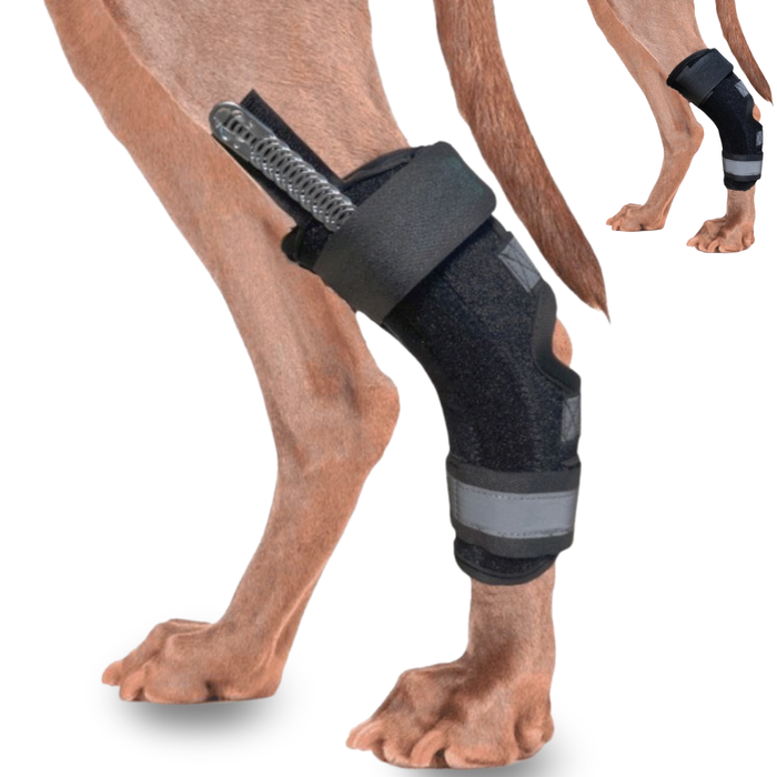 Canine Tarsal Support with Removable Splints | 2 Pack