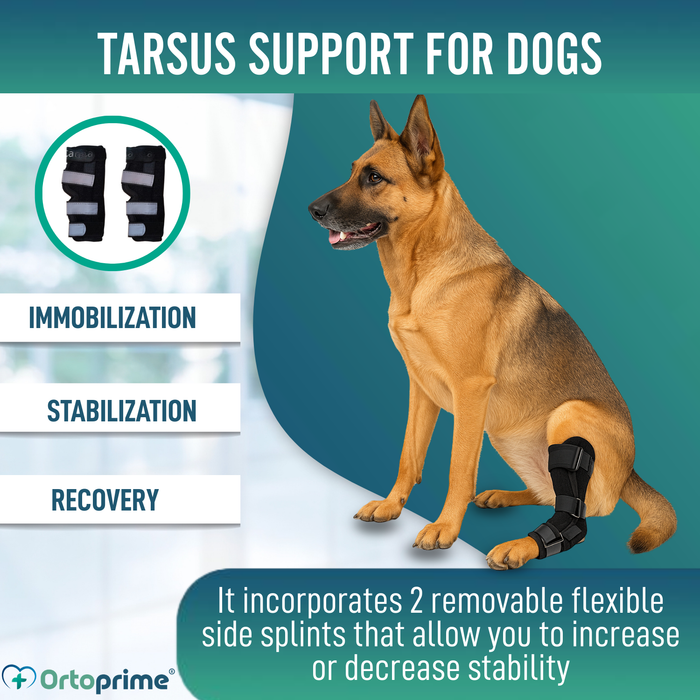 Canine Tarsal Support with Removable Splints | 2 Pack