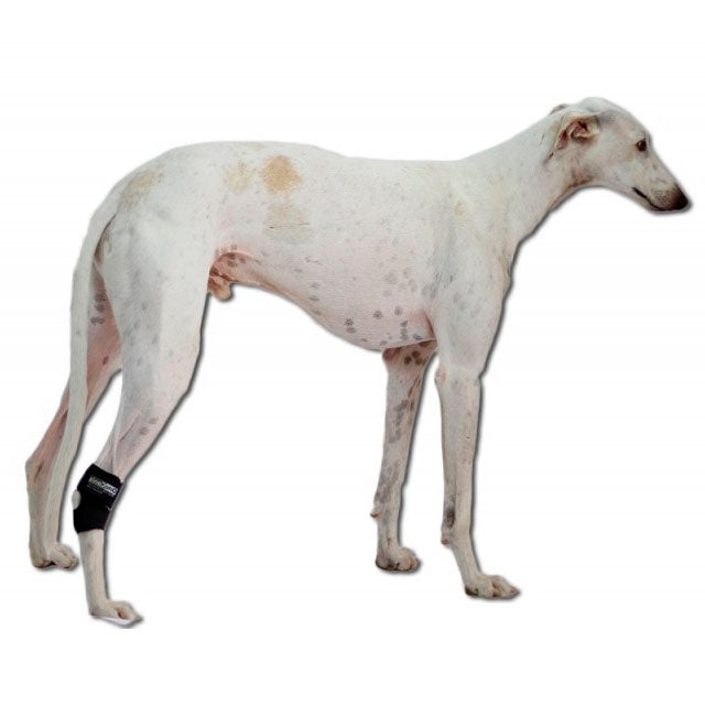 adaptable-dog-tarsal-orthosis-for-injury-recovery-xxs-xl-ortoprime-uk