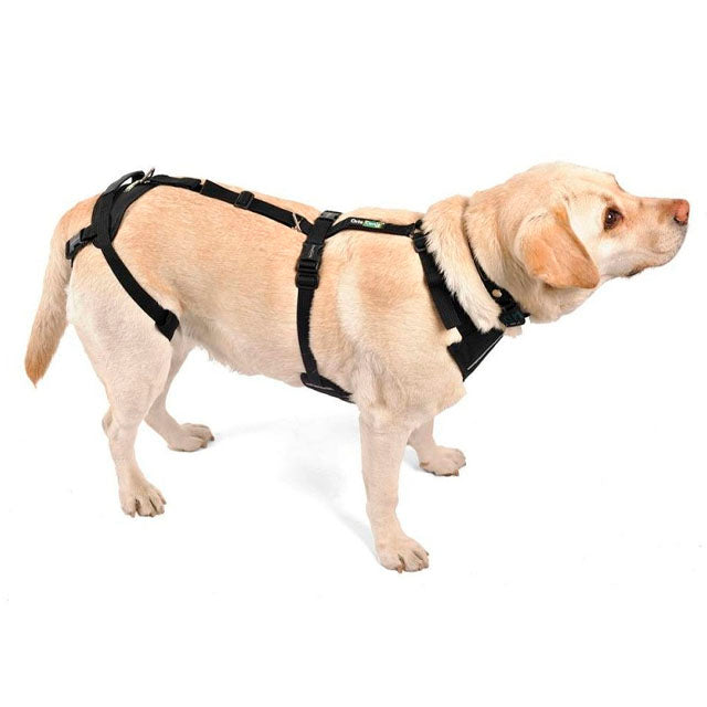 adjustable-dog-harness-for-complete-body-support-s-to-xxl-ortoprime-uk