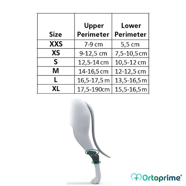 adjustable-dog-tarsus-brace-for-leg-support-xxs-to-xl-all-sizes-ortoprime-uk