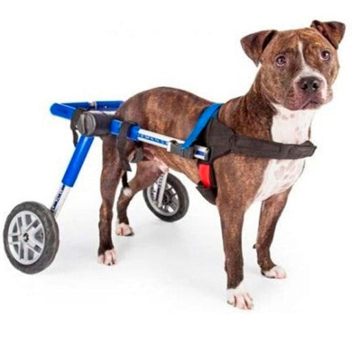 adjustable-dog-wheelchair-blue-5-13cm-weight-less-than-4kg-ortoprime-uk
