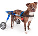 adjustable-dog-wheelchair-blue-5-13cm-weight-less-than-4kg-ortoprime-uk