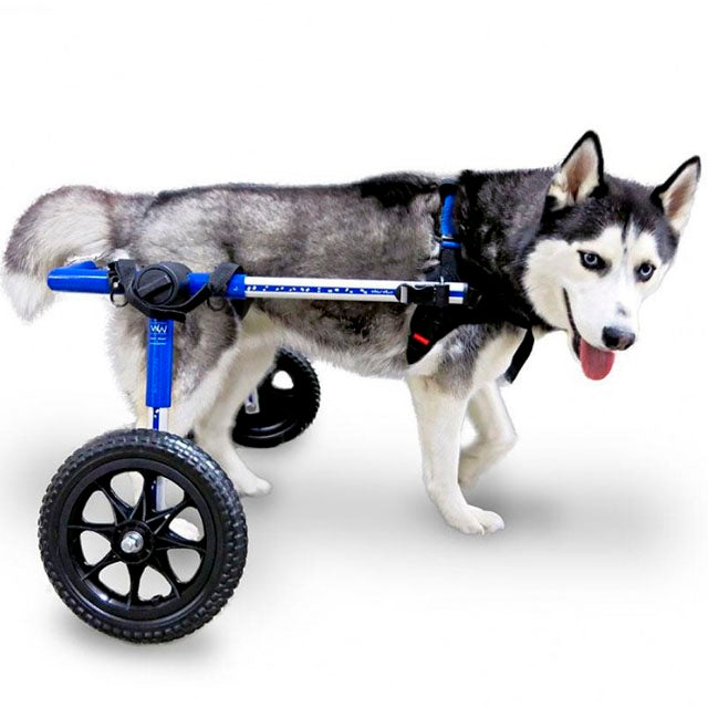 blue-dog-wheelchair-lightweight-less-than-21cm-weight-4kg-ortoprime-uk