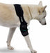 dog-elbow-support-with-velcro-straps-right-left-sizes-xs-s-m-l-xl-ortoprime-uk