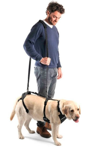 dog-full-body-lifting-harness-adjustable-sizes-s-to-xxl-ortoprime-uk