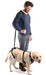 dog-full-body-lifting-harness-adjustable-sizes-s-to-xxl-ortoprime-uk