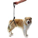 dog-hind-leg-lift-harness-for-rehabilitation-ortoprime-uk