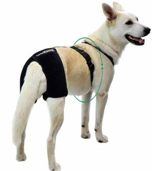 dog-hip-support-brace-for-mobility-xxs-33-45cm-xs-38-51cm-s-48-63cm-m-55-68cm-l-69-96cm-ortoprime-uk