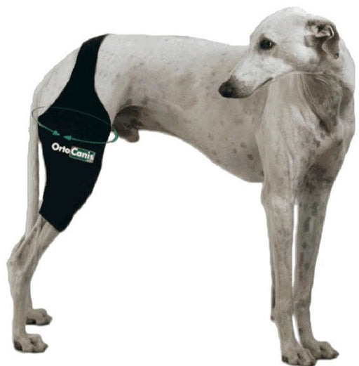 dog-knee-brace-with-velcro-adjustable-band-right-left-xmini-13-14cm-mini-15-16cm-xxxs-17-18cm-xxs-19-21cm-xs-22-24cm-s-25-28cm-m-29-31cm-l-32-36cm-xl-37-41cm-xxl-42-47cm-ortoprime-uk