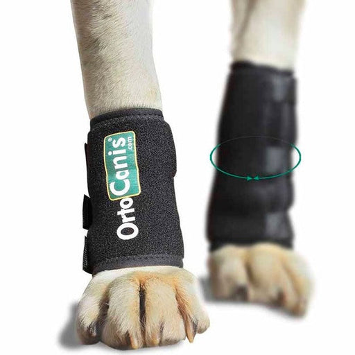dog-wrist-support-brace-for-tendon-injury-xxs-5-8cm-xs-9-11cm-s-12-13cm-m-14-16cm-l-17-19cm-xl-20-22cm-ortoprime-uk