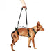 durable-full-body-harness-for-dogs-rehabilitation-s-36-46cm-xl-80-110cm-ortoprime-uk