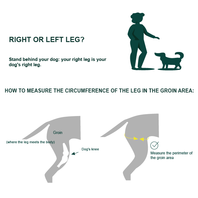 durable-knee-support-for-dogs-right-left-orthopedic-xmini-to-xxl-ortoprime-uk