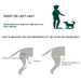 durable-knee-support-for-dogs-right-left-orthopedic-xmini-to-xxl-ortoprime-uk