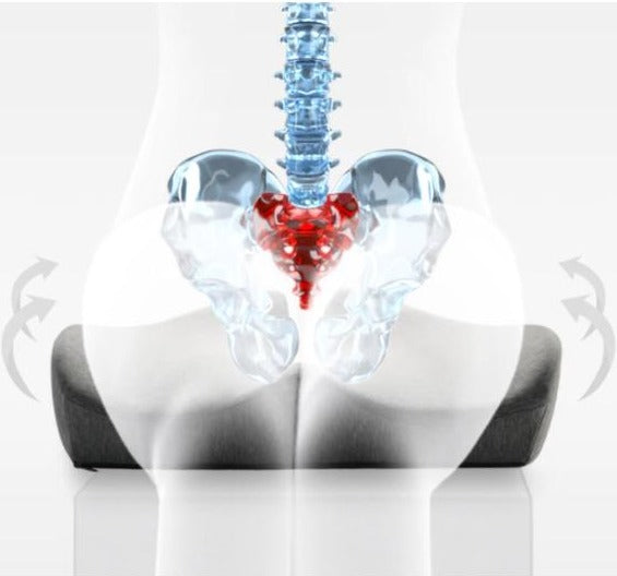 ergonomic-memory-foam-cushion-for-coccyx-support-ortoprime-uk