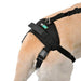 full-body-dog-lift-harness-for-mobility-aid-s-36-46cm-xxl-110-120cm-ortoprime-uk