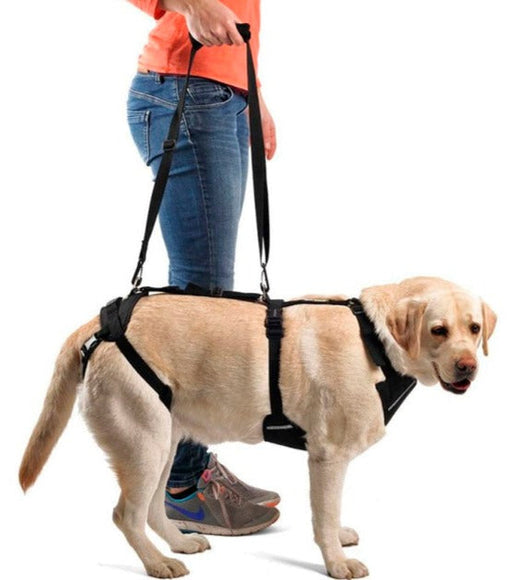 full-body-support-harness-for-dogs-s-36-46cm-m-47-66cm-l-67-79cm-xl-80-110cm-xxl-110-120cm-ortoprime-uk