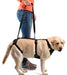 full-body-support-harness-for-dogs-s-36-46cm-m-47-66cm-l-67-79cm-xl-80-110cm-xxl-110-120cm-ortoprime-uk