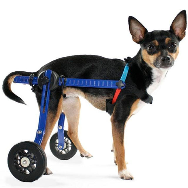 🔹 lightweight-blue-dog-wheelchair-adjustable-under-21cm-weight-up-to-4kg-ortoprime-uk