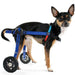 🔹 lightweight-blue-dog-wheelchair-adjustable-under-21cm-weight-up-to-4kg-ortoprime-uk