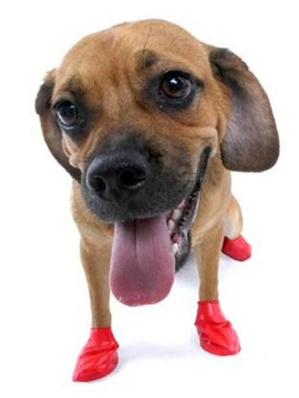 lightweight-waterproof-dog-shoes-rubber-reusable-colours-black-green-yellow-orange-brown-trim-red-blue-sizes-mini-2-54cm-xxs-3-81cm-xs-5-08cm-s-6-35cm-m-7-67cm-l-10-16cm-xl-over-10-16cm-ortoprime-uk