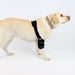 orthopedic-dog-elbow-brace-right-left-adjustable-velcro-bands-sizes-xs-to-xl-ortoprime-uk