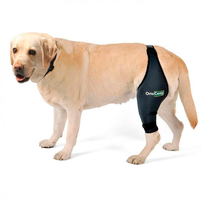 orthopedic-dog-knee-support-right-left-sizes-xmini-to-xxl-ortoprime-uk
