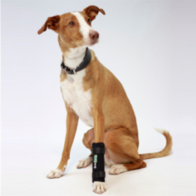 orthopedic-dog-wrist-support-splint-xs-to-xxxl-ortoprime-uk