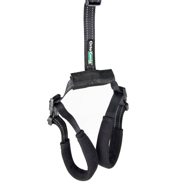 orthopedic-rear-lift-harness-for-dogs-with-mobility-issues-ortoprime-uk