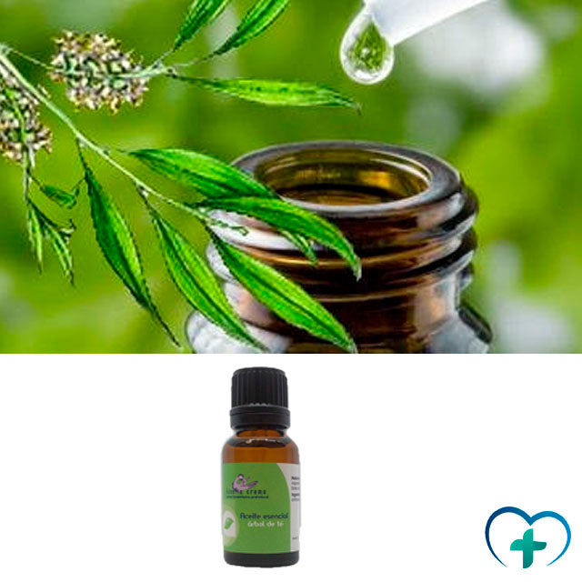 pure-tea-tree-oil-therapeutic-use-ortoprime-uk