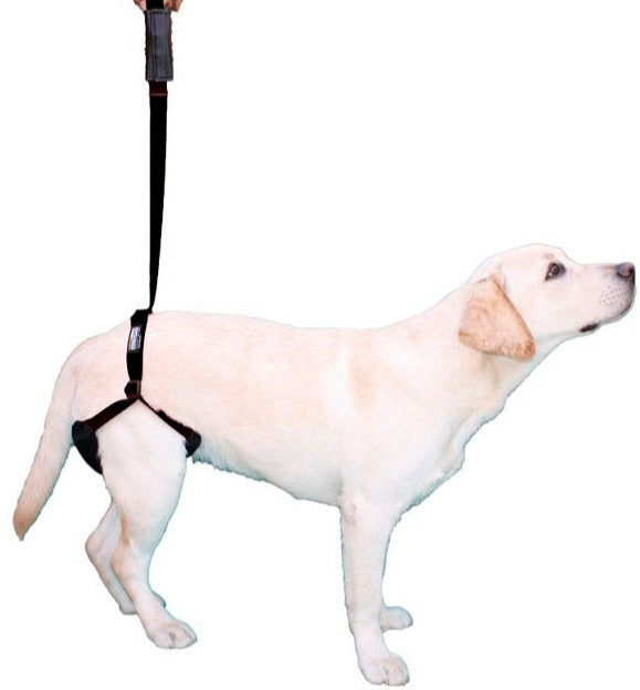 rear-leg-support-harness-for-dogs-mobility-aid-ortoprime-uk