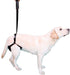 rear-leg-support-harness-for-dogs-mobility-aid-ortoprime-uk