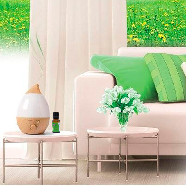 sage-essential-oil-for-skin-healing-ortoprime-uk