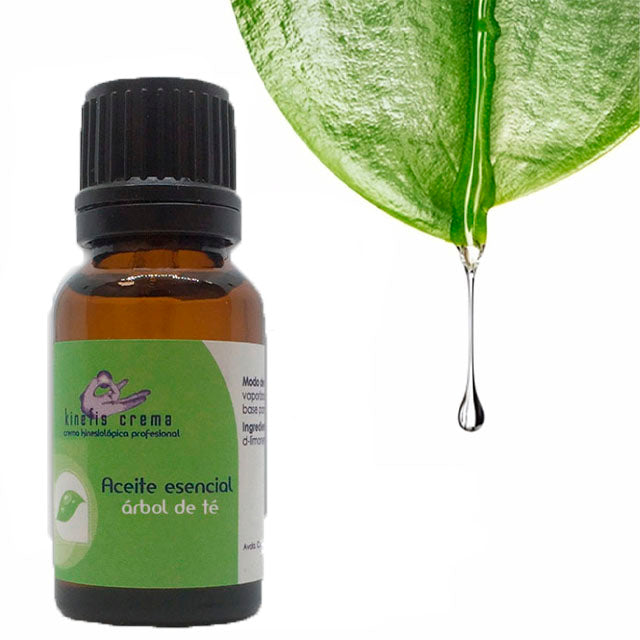 tea-tree-aromatherapy-oil-clarifying-effect-ortoprime-uk