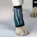 veterinary-wrist-brace-for-dog-recovery-xxs-xxl-sizes-ortoprime-uk
