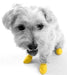 waterproof-rubber-dog-boots-reusable-non-slip-colours-black-green-yellow-orange-brown-trim-red-blue-sizes-mini-2-54cm-xxs-3-81cm-xs-5-08cm-s-6-35cm-m-7-67cm-l-10-16cm-xl-over-10-16cm-ortoprime-uk