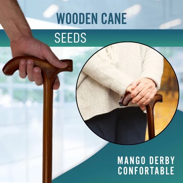 wooden-derby-handle-walking-stick-for-adults-ortoprime-uk